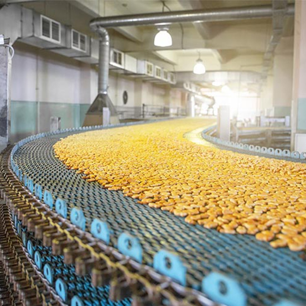 Conveyor Chains And Chain Drives For The Food Industry